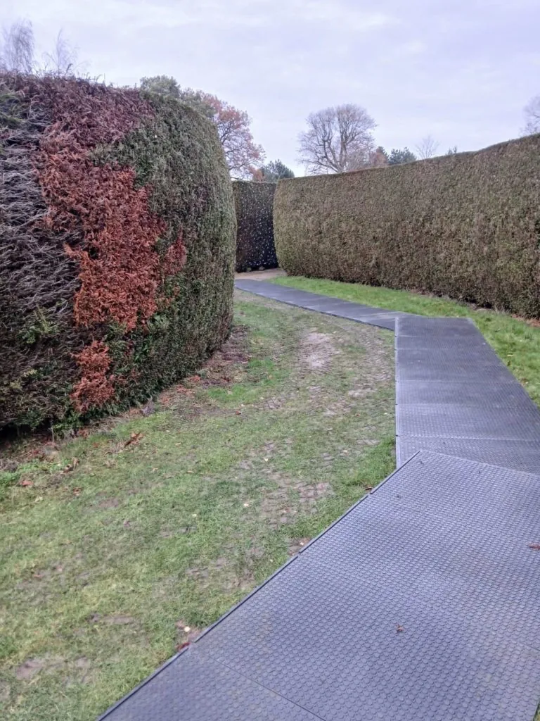 A black modular WalkOver path winds through a tall hedge maze with green and brown foliage under an overcast sky.