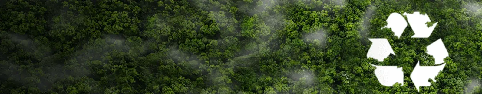 Top down view on trees with a recycling symbol