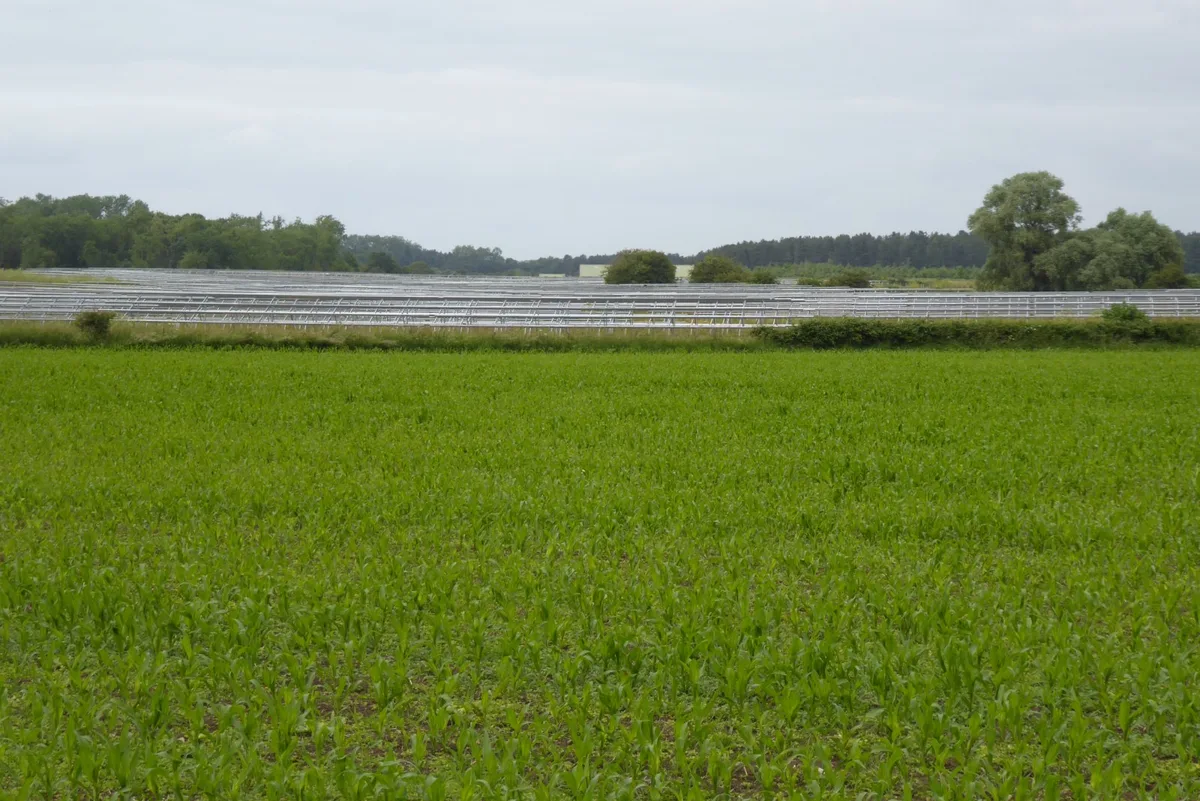 A solar farm under construction in a rural UK field, with rows of mounted solar panels, temporary fencing, and construction vehicles on site.